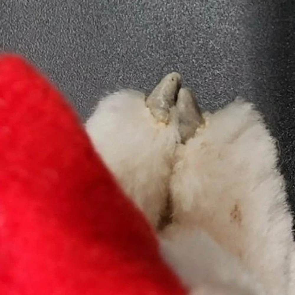 VTG Korea White Christmas‎ Mouse Clip On Santa Hat Plush Retro Kitsch Ornament